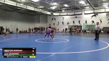 149 lbs Round 3 (8 Team) - Trentton Wortham, Adrian 2 vs Alex Valenzona, Whitewater 2