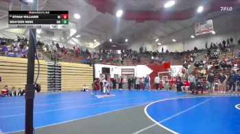 138 lbs Champ. Round 1 - Ethan Williams, North Central vs Brayden Mink, Greenwood