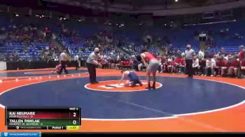 138 lbs Semis & 1st Wrestleback (8 Team) - Tallen Pawlak, Mahomet (M.-Seymour) vs Kai Neumark, Deerfield (H.S.)