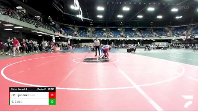 138 lbs Cons. Round 4 - Caden Ljubenko, Maine South vs Evan Cox, Central (Clifton)