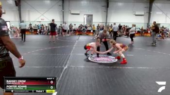 95 lbs Round 1 (6 Team) - Ramsey Crow, Team Palmetto vs Porter Adams, Florida Scorpions