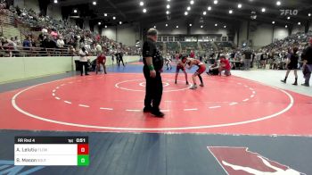 105 lbs Rr Rnd 4 - Anderson Lelutiu, Flowery Branch Jr Wrestling vs Branson Mason, South Georgia Athletic Club