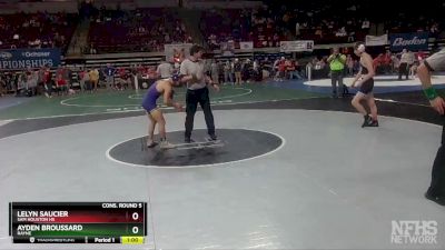 D 2 113 lbs Cons. Round 5 - Ayden Broussard, Rayne vs Lelyn Saucier, Sam Houston Hs