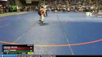 126 lbs Champ. Round 1 - Wyatt Hansen, Williston vs Michael Nelson, Devils Lake