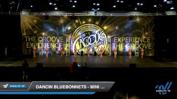 Dancin Bluebonnets - Mini Jazz [2019 Mini - Jazz - Small Day 2] 2019 Encore Championships Houston D1 D2