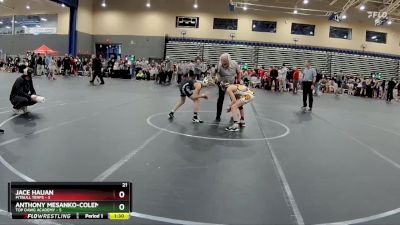 88 lbs Round 1 (8 Team) - Anthony Mesanko-Coleman, Top Dawg Academy vs Jace Hauan, PitBull Terps