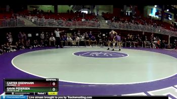 144 lbs Semis & Wb (16 Team) - Gavin Pedersen, Grand Island vs Carter Eisenmann, Columbus