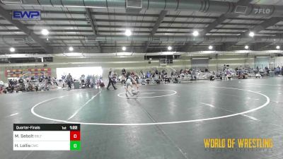 65 lbs Quarterfinal - Mila Sebolt, Sebolt Wrestling Academy vs Hanna Lollis, Cowboy Wrestling Club