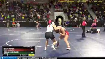 135 lbs Champ. Round 1 - Riley Meyer, South Winneshiek vs Regan Nicholson, Algona