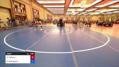 108 lbs Quarterfinal - Andrew Schulz, Ny vs Ryan Rodriguez, Nj