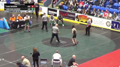 103 lbs Consi Of 16 #2 - Cael Musser, Ephrata vs Greyson Morris, Albert Gallatin
