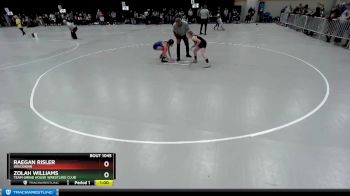 87 lbs Quarterfinal - Raegan Risler, Wisconsin vs Zolah Williams, Team Grind House Wrestling Club