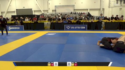 Lucas Luciano Bessin Torres vs Austin James T. Senos 2025 World IBJJF Jiu-Jitsu No-Gi Championship