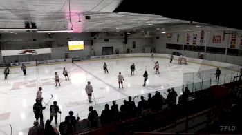Replay: Home - 2025 Bears U18 AAA vs Hounds U18 AAA | Feb 11 @ 7 PM
