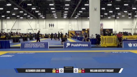 WILLIAM AXELTOFT TREGART vs ALEXANDER LOUIS JOSS 2025 World IBJJF Jiu-Jitsu No-Gi Championship