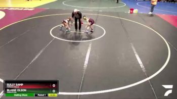 55 lbs Semifinal - Blaine Olson, Princeton vs Sully Samp, Fergus Falls