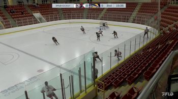 Replay: Home - 2024 Steelers vs STA Sharks | Nov 17 @ 1 PM