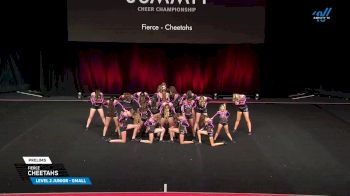 Fierce - Cheetahs [2025 L2 Junior - Small Prelims] 2025 The Summit