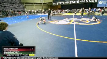 53 lbs Cons. Round 2 - Charlie Anthony, Kitsap Ironman Wrestling Club vs Wesley Schaub, Cruiser Wrestling Club