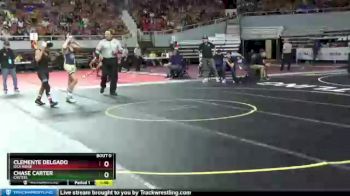 D2-113 lbs Semifinal - Chase Carter, Casteel vs Clemente Delgado, Gila Ridge