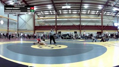 113 lbs Cons. Round 4 - Keegan Bassett, Bishop McCort vs Connor Bagdonas, Perrysburg