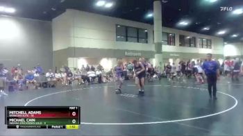 160 lbs Placement Matches (16 Team) - Mitchell Adams, Brawlers Elite vs Michael Cain, Indiana Smackdown Gold