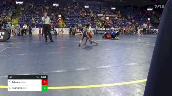 45 lbs Semifinal - Camilla Adams, Hamburg vs Callie Brannon, Danville