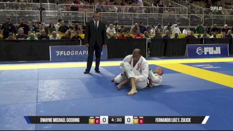 Fernando Luiz F. Zulick vs Dwayne Michael Gooding 2025 Pan Jiu Jitsu IBJJF Championship