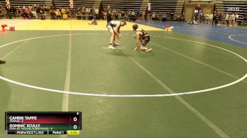 115 lbs Finals (8 Team) - Dominic Scully, STMA (St. Michael/Albertville) vs Camrik Tappe, Staples