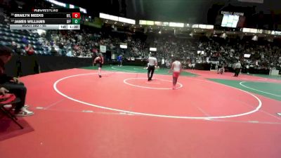 95 lbs Champ. Round 1 - Brailyn Meeks, RTLA vs James Williams, GFF3