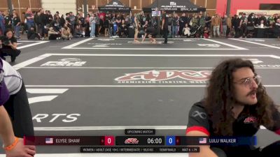 Aaron Tiegs vs James Sarnecki 2025 ADCC Portland Open