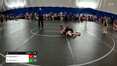 84 lbs Round 3 (3 Team) - Mario Demarco, Lake WC vs Nico Bresadola, Brawler Elite