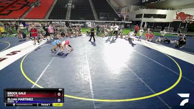 80 lbs Placement Matches (8 Team) - Brock Gale, Idaho 1 vs Elijah Martinez, Hawaii