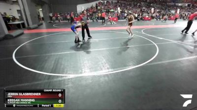 110 lbs Champ. Round 1 - Jerrin Glasbrenner, FWA vs Keegan Manning, Slinger Red Rhinos WC