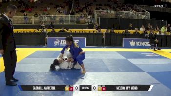 Melody M. Y. Wong vs Gabrielle Kari Etzel 2025 Pan Jiu Jitsu IBJJF Championship