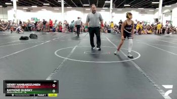 84 lbs Round 5 (8 Team) - Raymond Glinsky, Revolution Elite vs Henry Hambardzumien, New England Gold