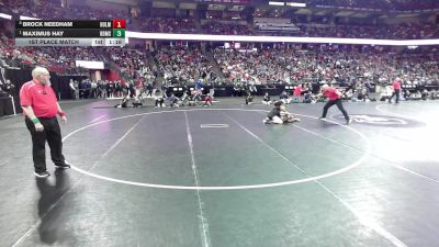 126 lbs 1st Place Match - Maximus Hay, Brown Deer/Mess./Shore. vs Brock Needham, Holmen