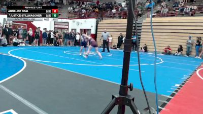 120 lbs Quarterfinal - Justice Stillwagoner, Mount Vernon vs Annalise Neal, Crown Point