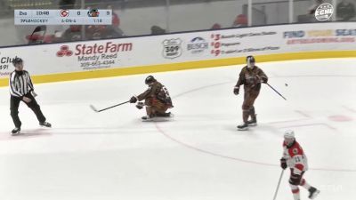 Best Plays From The ECHL Season Thus Far