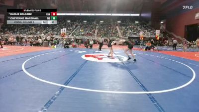 145 lbs Cons. Round 2 - Karlie Balfanz, Campbell County vs Cheyenne Marshall, Thunder Basin