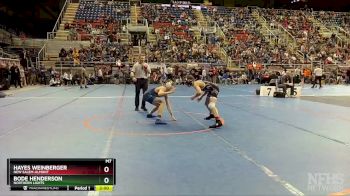 107 lbs Semifinal - Bode Henderson, Northern Lights vs Hayes Weinberger, New Salem-Almont
