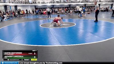 Silver 125 lbs Cons. Round 4 - Austin Grzywinski, St. Cloud State vs Anthony Lavezzola, Iowa