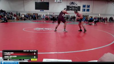 Elite 285 lbs Quarterfinal - Tyler Kim, Augsburg vs Sage Walker, Unattached