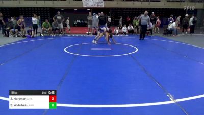 91 lbs Consi-qtrs - Zander Hartman, Carlisle vs Brody Wehrheim, Breinigsville