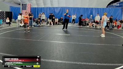 98 lbs Round 6 (8 Team) - Mikey McNeal, Team Nauman Bethel Park vs Landon Sturgell, CP Wrestling