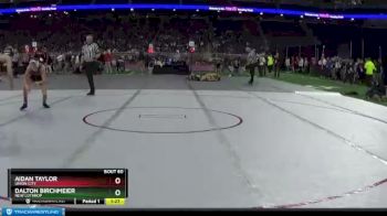 D4-130 lbs Champ. Round 1 - Dalton Birchmeier, New Lothrop vs Aidan Taylor, Union City