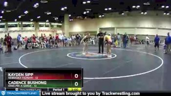 132 lbs Placement (16 Team) - Kayden Sipp, Nebraska Tsunami vs Cadence Bushong, Iowa Pin-A-Sarus