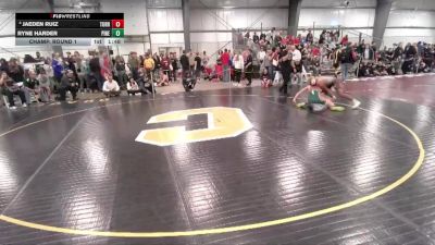 144 lbs Champ. Round 1 - Ryne Harder, Pinedale vs Jaeden Ruiz, Torrington