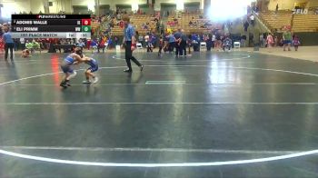 45 lbs 1st Place Match - Eli Primm, Wildcats Wrestling vs Adonis Walle, Iron Knights