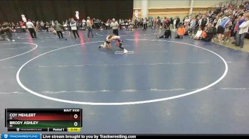 87 lbs Champ. Round 2 - Brody Ashley, MI vs Coy Mehlert, IA